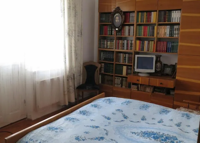 Hostynna 招待所